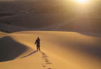 muerto-desierto